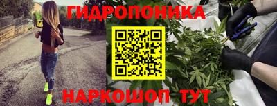 молекула духа Малгобек