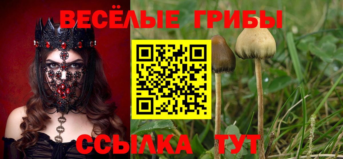 Галлюциногенные грибы MAGIC MUSHROOMS Гай