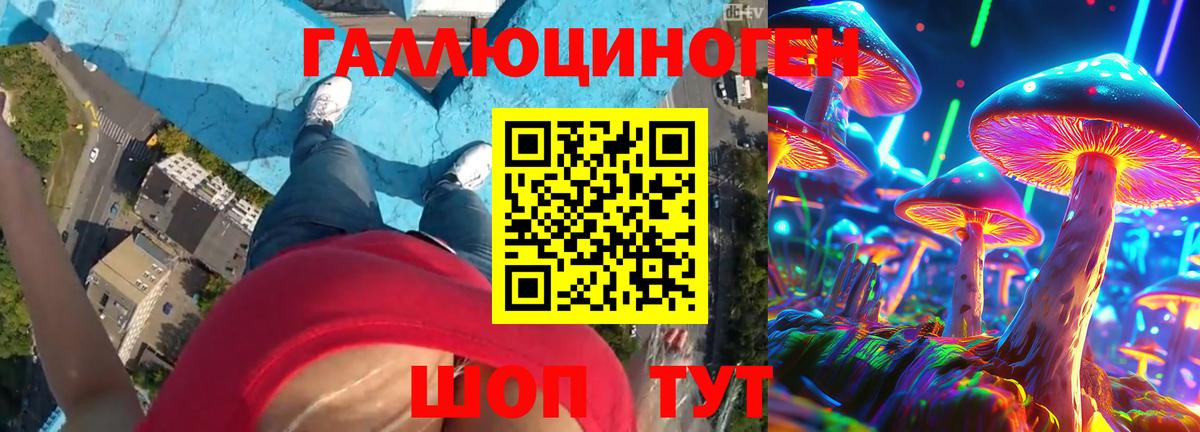 Галлюциногенные грибы MAGIC MUSHROOMS  Вход с VPN  Гай 